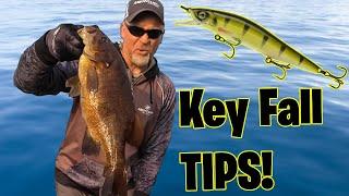 ONE Simple Fix for Fall Bass Fishermen's Jerkbait Problem