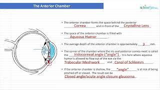 Optician Training: The anterior and posterior chambers (Ocular Anatomy Lecture 5)