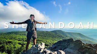 7 Things to Do in Shenandoah National Park, Virginia | Shenandoah Hiking, Skyline Drive, & More!