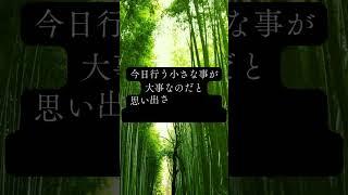 習慣は失敗も成功も自分以外に責める人いない。#習慣化 #小さな変化 #継続 #自己成長 #習慣 #継続 #完璧主義 #人生 #思考 #ネガティブ思考 #トリガー #継続 #成功者の習慣