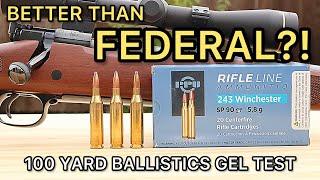 243 Winchester PPU 90gr SP Ballistics Gel Ammo Test