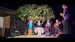 Breakdance flamenco? Take a look at the guys in Pena V in Ajijic