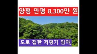 양평 만평 8,300만 원 (도로 접한 저평가 임야)