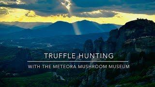 Planet Fungi goes truffle hunting