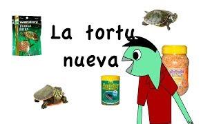 niño tortus 01 la tortuga nueva