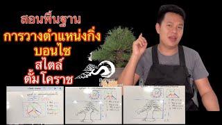 สอนพื้นฐาน การวางตำแหน่งกิ่ง บอนไซ