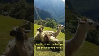 Machu Picchu: The Lost City of Inca