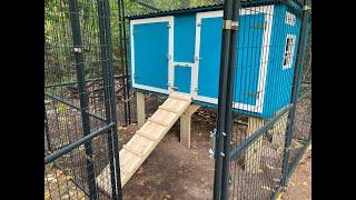 Chicken Coop Build