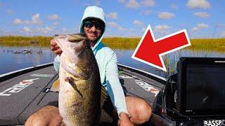 THE GIANT BASS ARE MOVING IN!! (LAKE OKEECHOBEE)