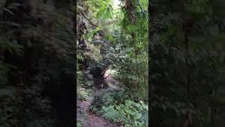 Bang Pae waterfall walking 8K. Part 1/2