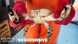 Why Stone Crab Claws Are So Expensive | So Expensive