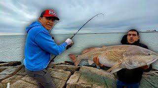 Fishing The Surfside Jetty for HUGE Fish! Non Stop Action