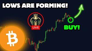 Live Trading with Cobra! MASSIVE OPPORTUNITY
