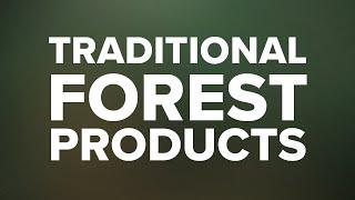 Keeping Forests 2021 Year In Review - Traditional Forest Products Section