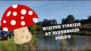 Winter Fishing On Mushroom Ponds