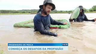 Engenheiro de pesca: conheça os desafios da profissão