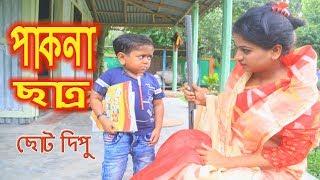 পাকনা ছাত্র | ছোট দিপু | Pakna Chatro | Chotu Dipu | Dipur Comedy |Music Bangla Tv