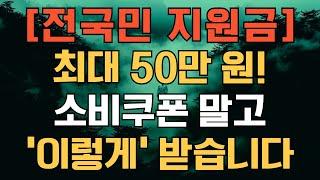 [이재명 정부 전국민 지원금] 최대 50만 원! 소비쿠폰 말고 ‘이렇게’ 받습니다
