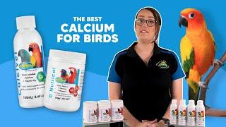 The Best Calcium Supplements for Birds!