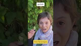 תות עץ