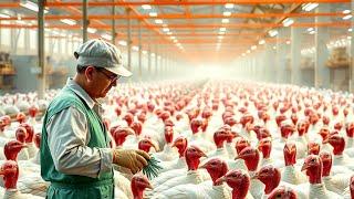 CHINA'S HIDDEN EMPIRE: Inside the Billion-Dollar Turkey Farms & Factories! 