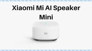 Xiaomi Mi AI Speaker Mini Review