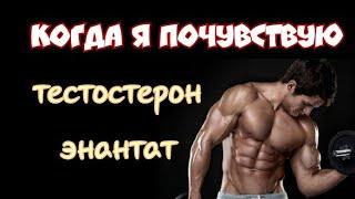 Когда я почувствую тестостерон энантат. Первый курс стероидов. Курс для новичков