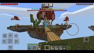 Bullying People on Mineplex Skywars with My invisible Skin! V1 (Minecraft mobile)