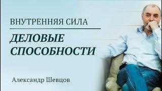 Александр Шевцов.  Раскрытие деловых способностей