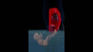 Miracle of water birth #education #everyone