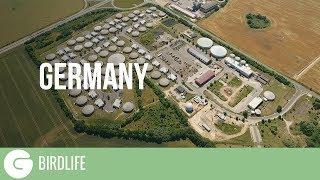 The Ugly Truth About Bioenergy | Germany