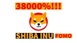 Shiba Inu  coin FOMO -  How To Be Ready For The Next Crazy Coin with just $10!!! #shitcoin