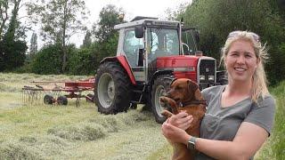 Massey Ferguson 3085 & Kvernland Taarup 9146 Rowing up Hay