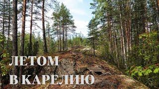 Летом в Карелию: Петрозаводск и его окрестности