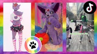 Furry TikToks Compilation #36