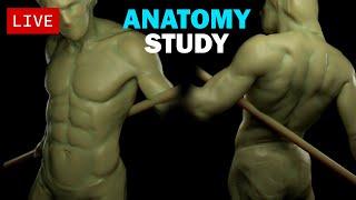 [LIVE] Sculpting - Anatomy Study - CONTINUING FROM LAST WEEKI