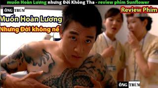 Review phim: Hoa Hướng Dương - Muốn Hoàn Lương Nhưng Đời Không Tha Thứ