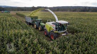 Corn silage 2019 !! CLAAS Jaguar 950, 2x Fendt, 2x John Deere, Case, JCB & more ...