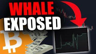 THE MASSIVE INSIDER WHALE JUST GOT EXPOSED & REVEALED [This is crazy...]