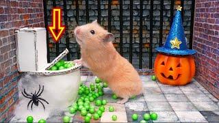 Hamster Escapes Halloween Maze