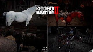 All Arabian Horses in Red Dead Redemption 2 (2022)