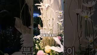 #부활절꽃꽂이#흰색#양재시장 대명소재에서~^^