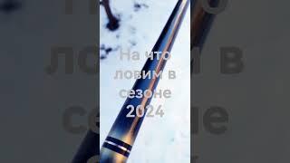 Бюджетная линейка удилищ для херабуны......