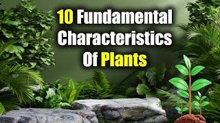 10 Fundamental Characteristics Of Plants