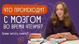 Как чтение влияет на мозг? | Книги | Литература