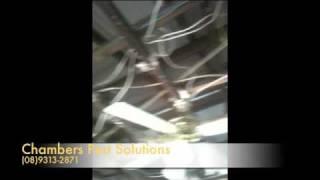Pest Control Perth by Chambers Pest Solutions