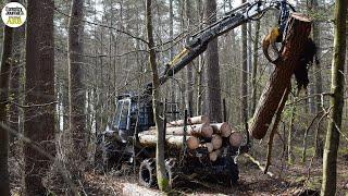 What does the future hold for low-impact machinery in forestry?