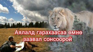 Зэрлэг амьтнаас амиа хамгаалах гоё аргууд. Гоё түүхүүд Goe tuuhuud mongol heleer kino Barimtat kino