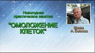 Новогодняя практика омоложения клеток. Алексей Беляев.