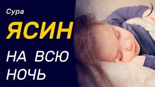 Ясин на всю ночь - слушайте каждый день.